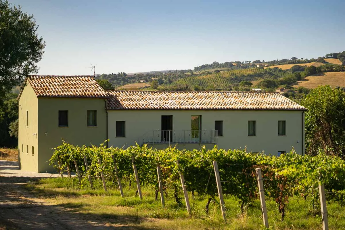 Foto del progetto Zena Vini