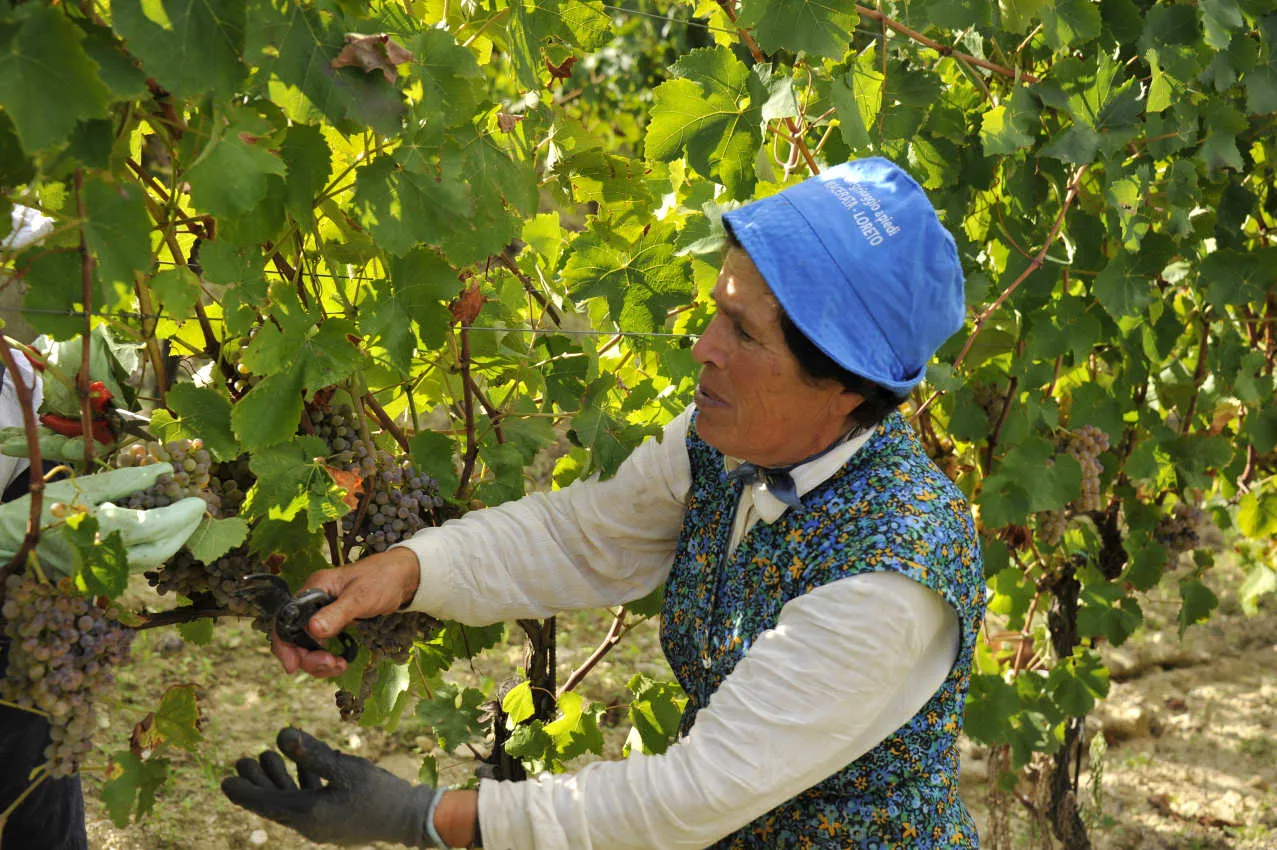 Foto del progetto Boccafosca